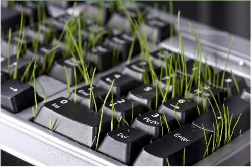 grass growing in keyboard