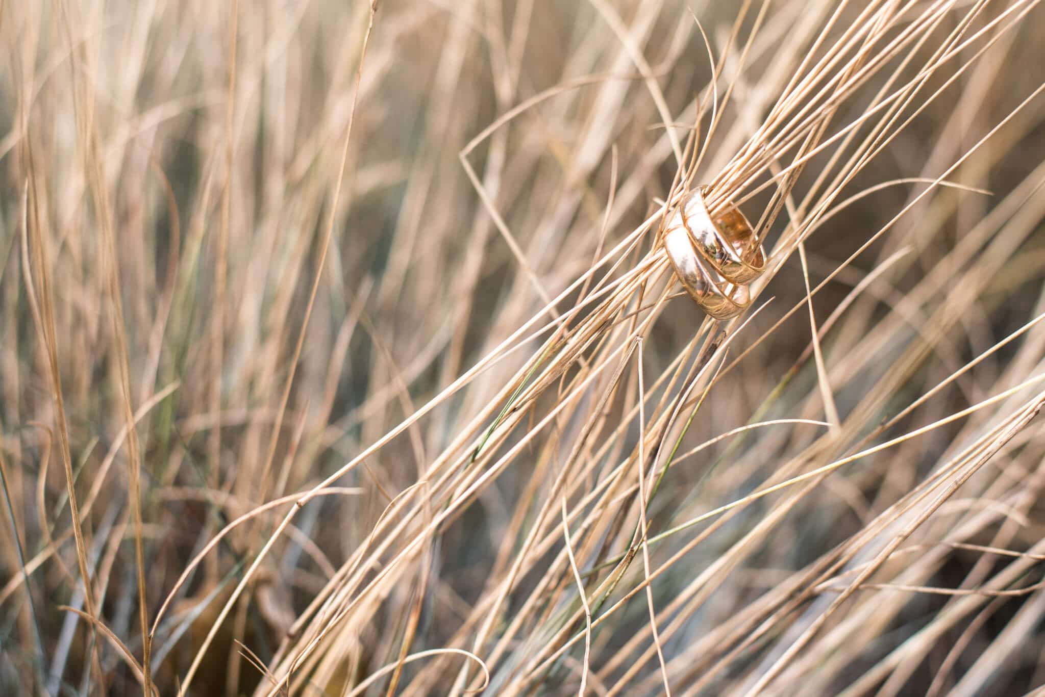 gold rings on stalks of straw
